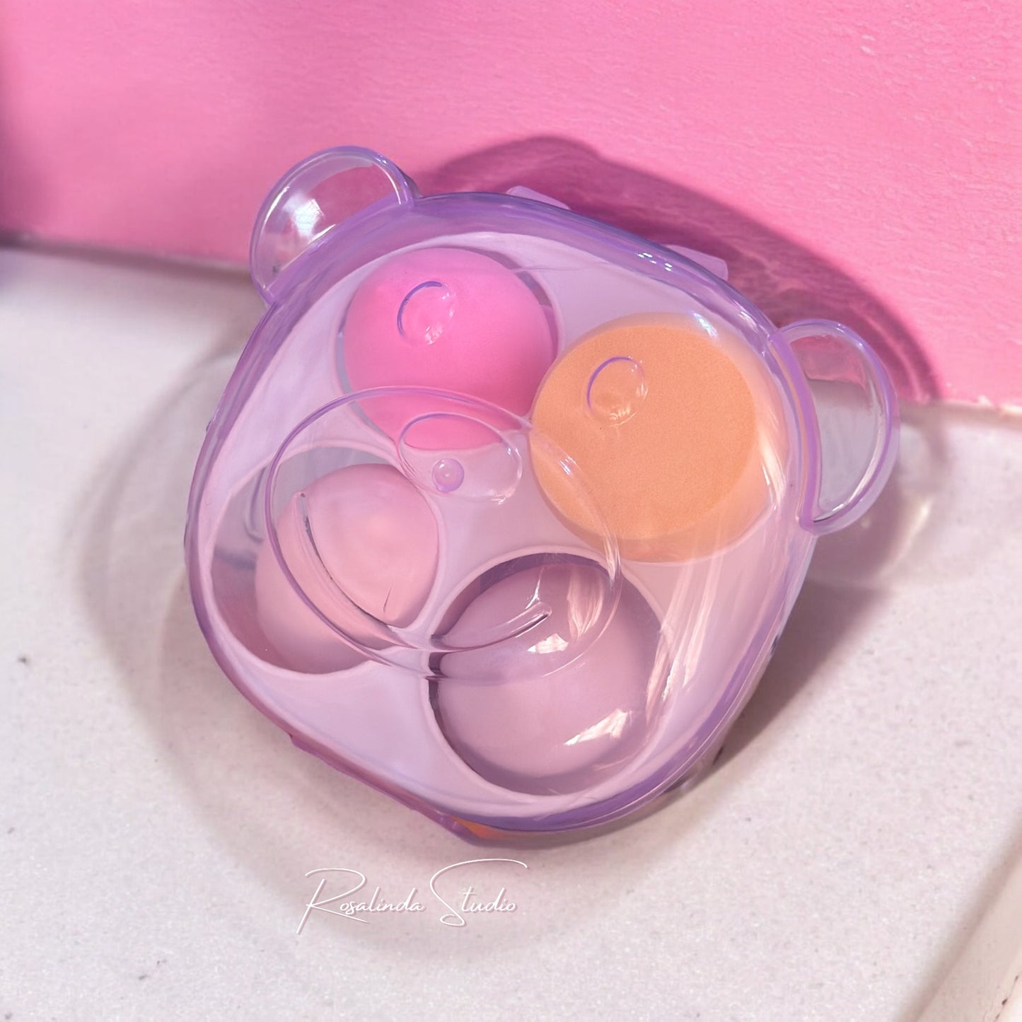 Set de 4 Esponjas + Case